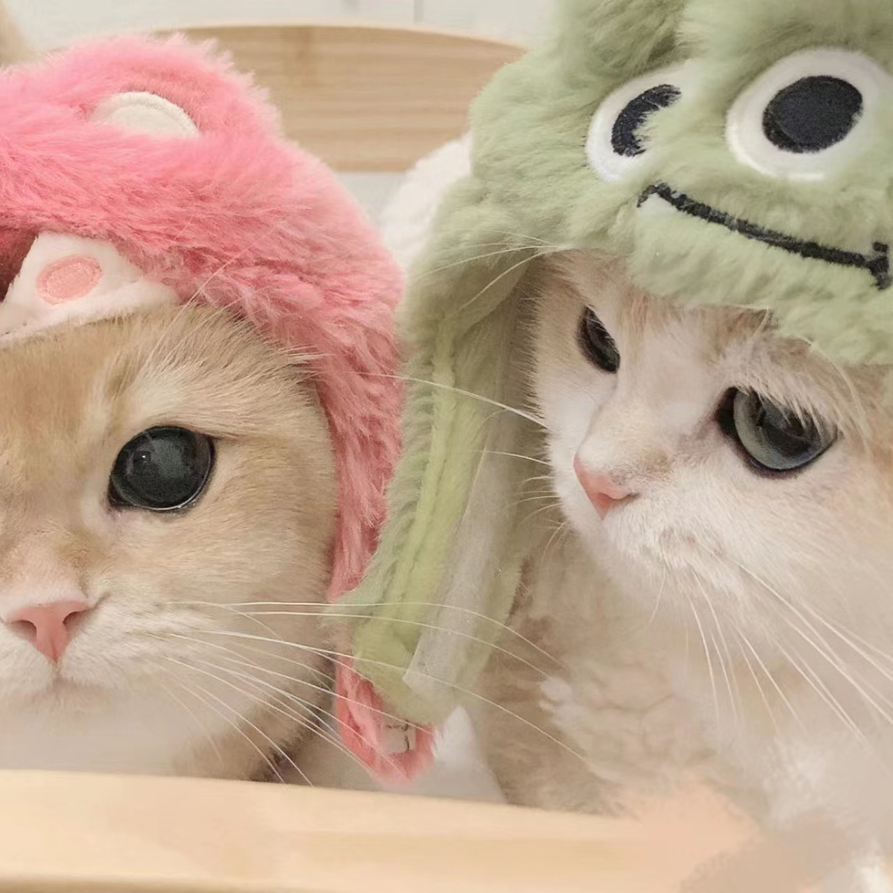 WWW,se176·COM网站APP