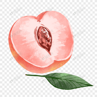 WWW,av428·COM网站APPAPP应用
