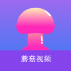 WWW,339av·COM网站APPAPP应用